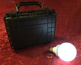 RETIRED EFFECT - EELvis the LED Bulb