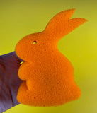 Sponge Carrot to Rabbit
