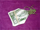 Spring Bills