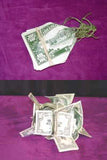 Spring Bills